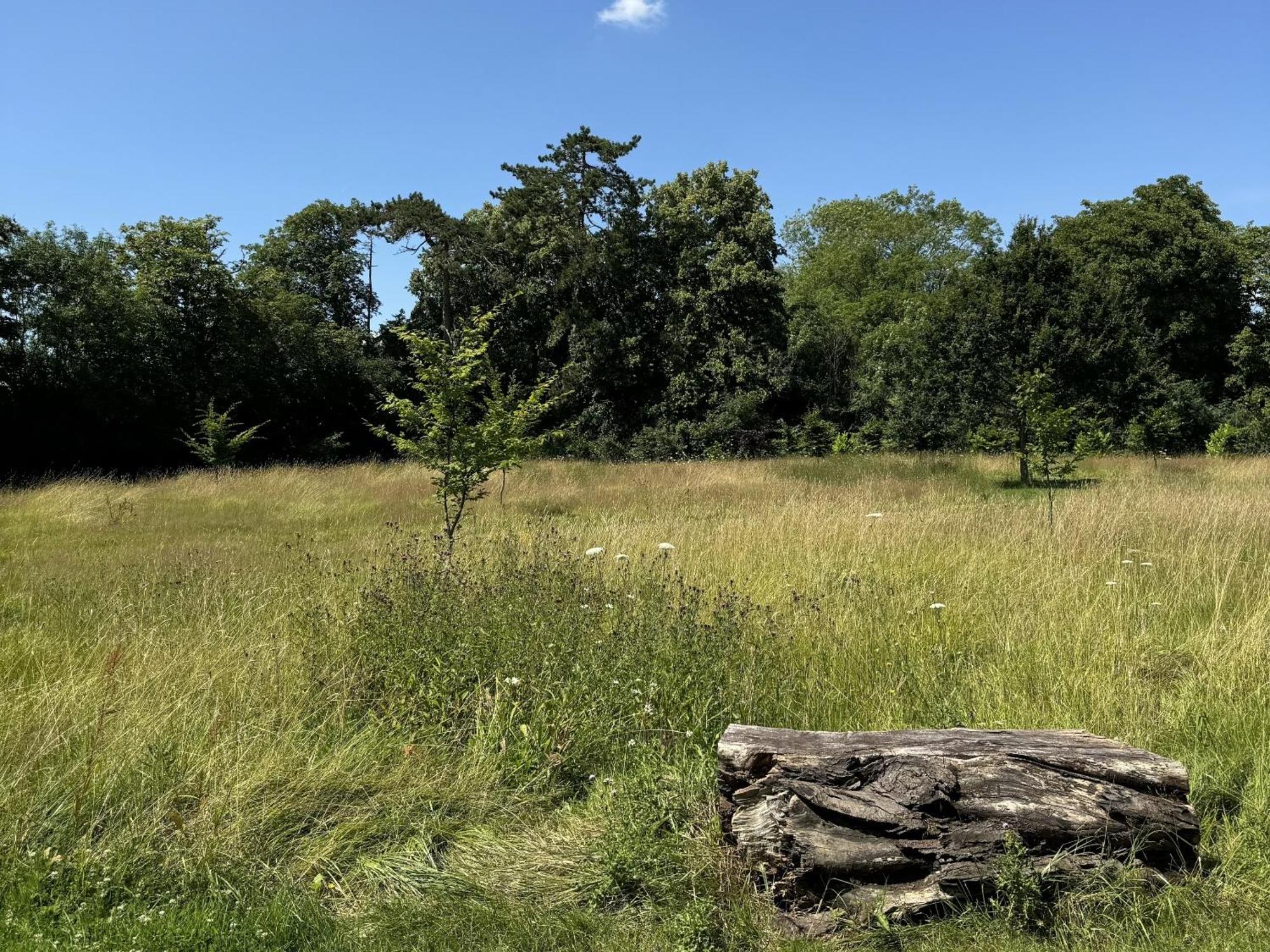 Hookwood Lodge London Gatwick Horley Kültér fotó