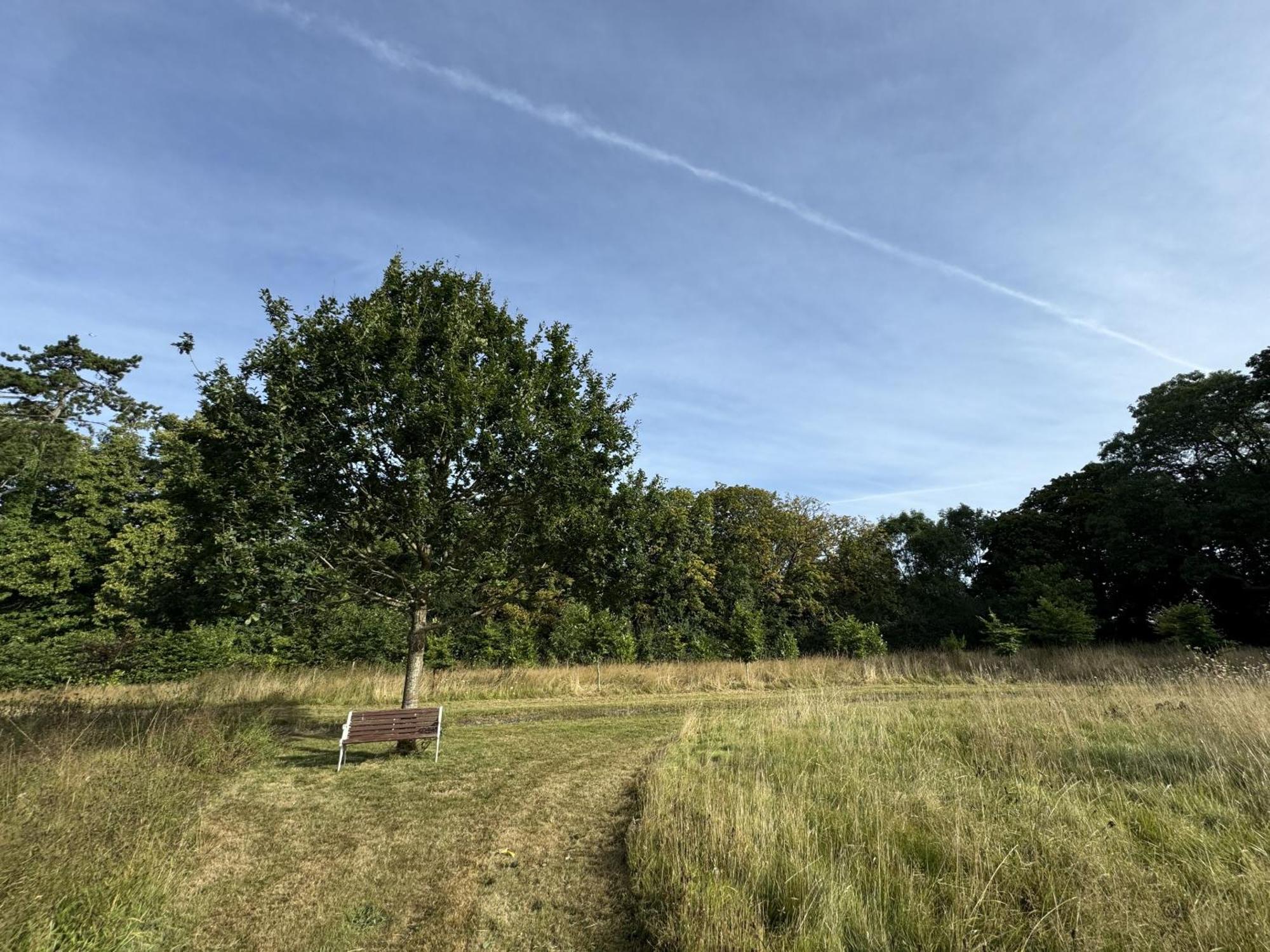 Hookwood Lodge London Gatwick Horley Kültér fotó